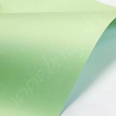 Бумага Paperline 100 Lagoon А4 160 гр/м2, 2лист